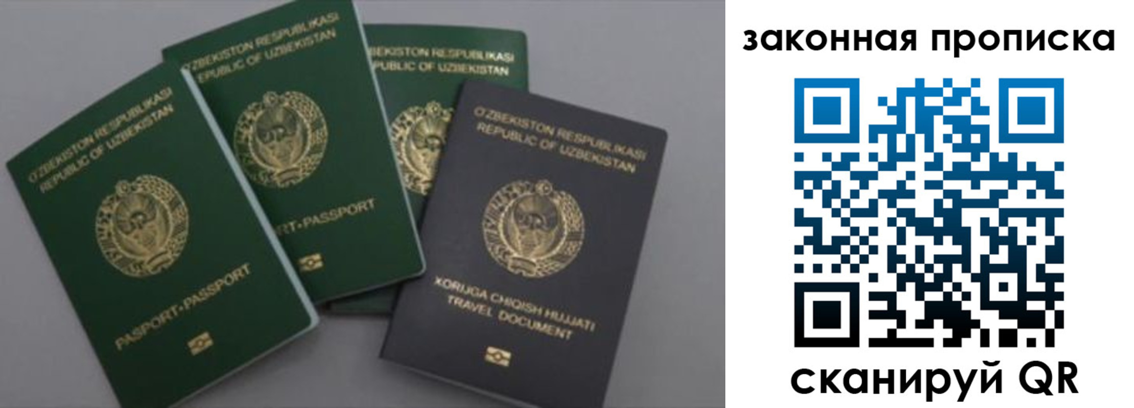 прописка законно в Камешково